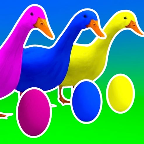 Animals Quiz