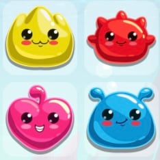 Sea Animals